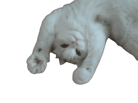 giphy (1).gif