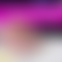 Submitting Applications for Registered Parnership on the 14th of February