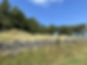6244e417-5e02-4fd5-ad4e-5c155970e7cd.jpeg