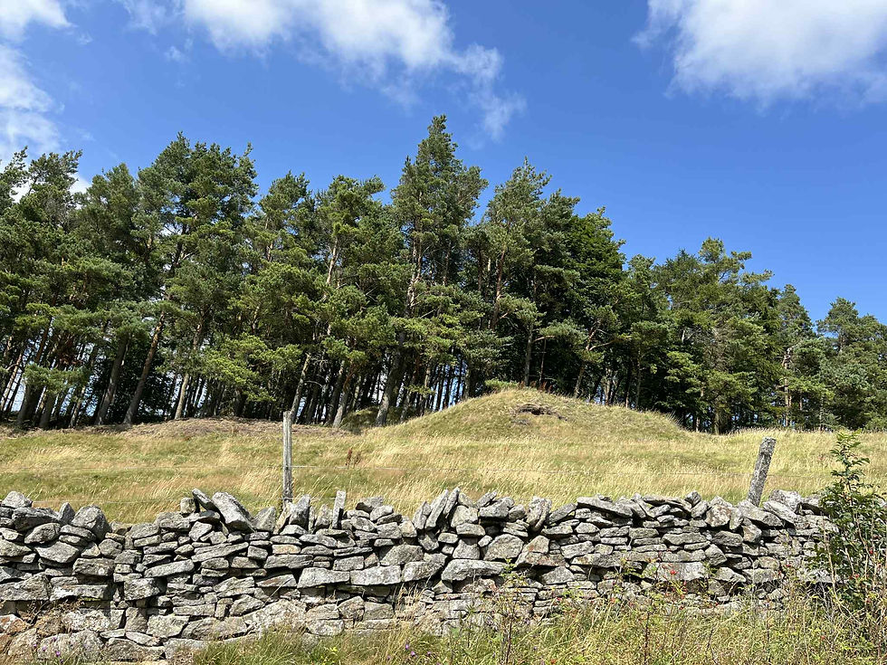 0a319a7c-add8-4d05-a9e6-13ccb3d608dc (1)