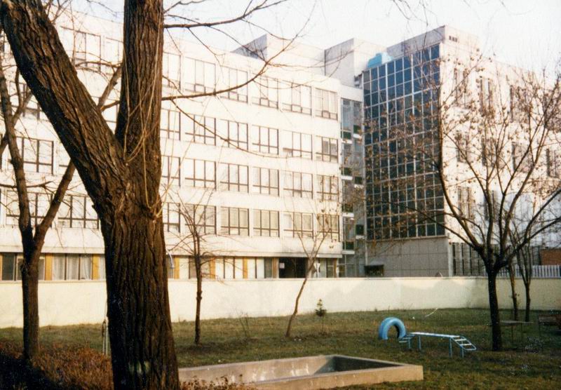 Fényképalbumok