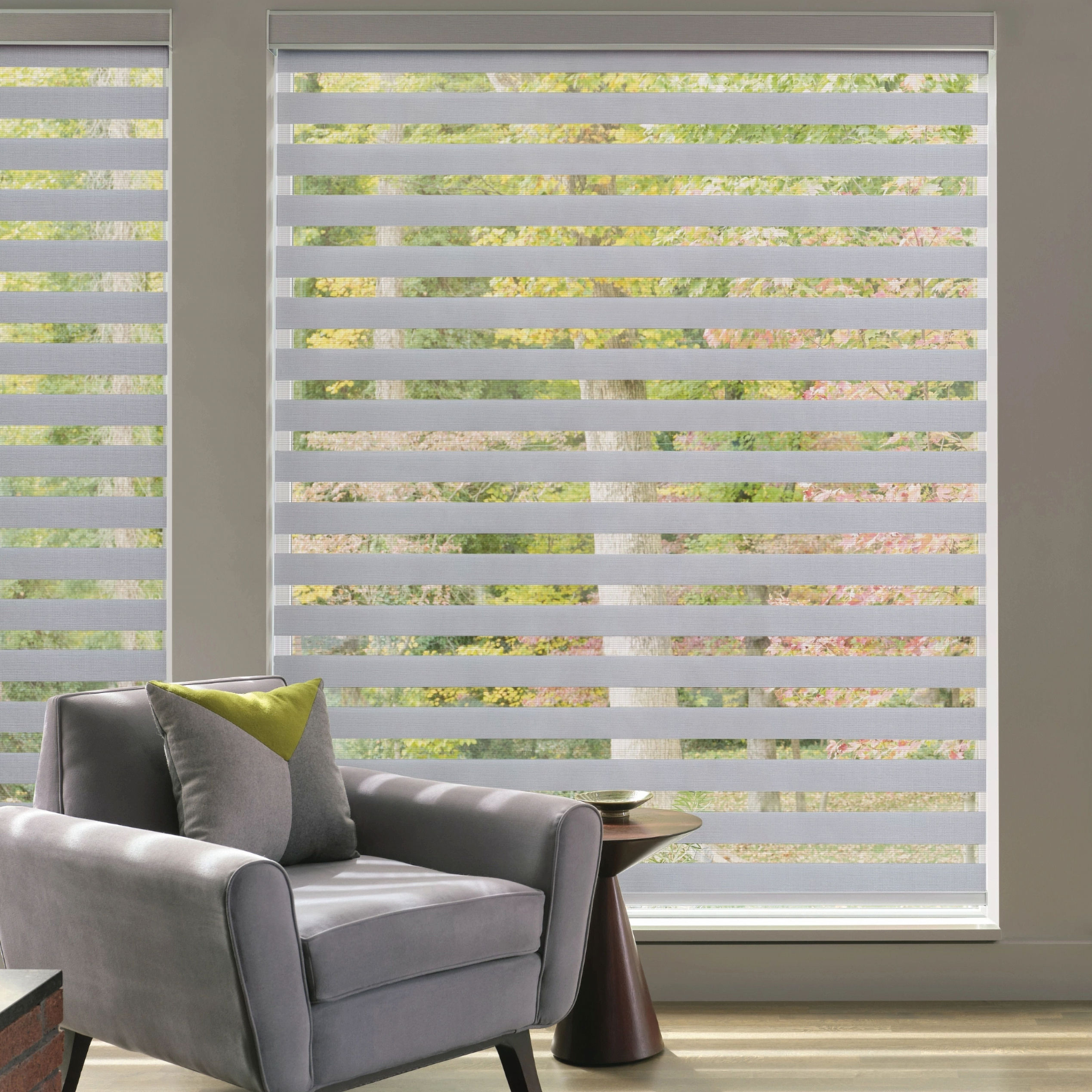 Zebra Blinds