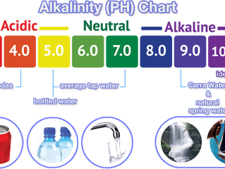 Simple Reasons to Buy Alkaline Water in Dallas