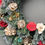 Thumbnail: 24” Frosted Evergreen Elegance Wreath 