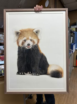 A red panda portrait in a frame.