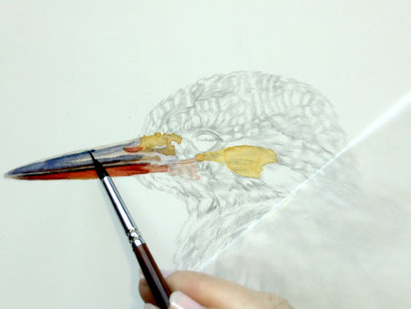 A kingfisher in progress