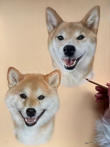 Portrait of two smiling Shiba Inus in pastel, head and chest portrait.