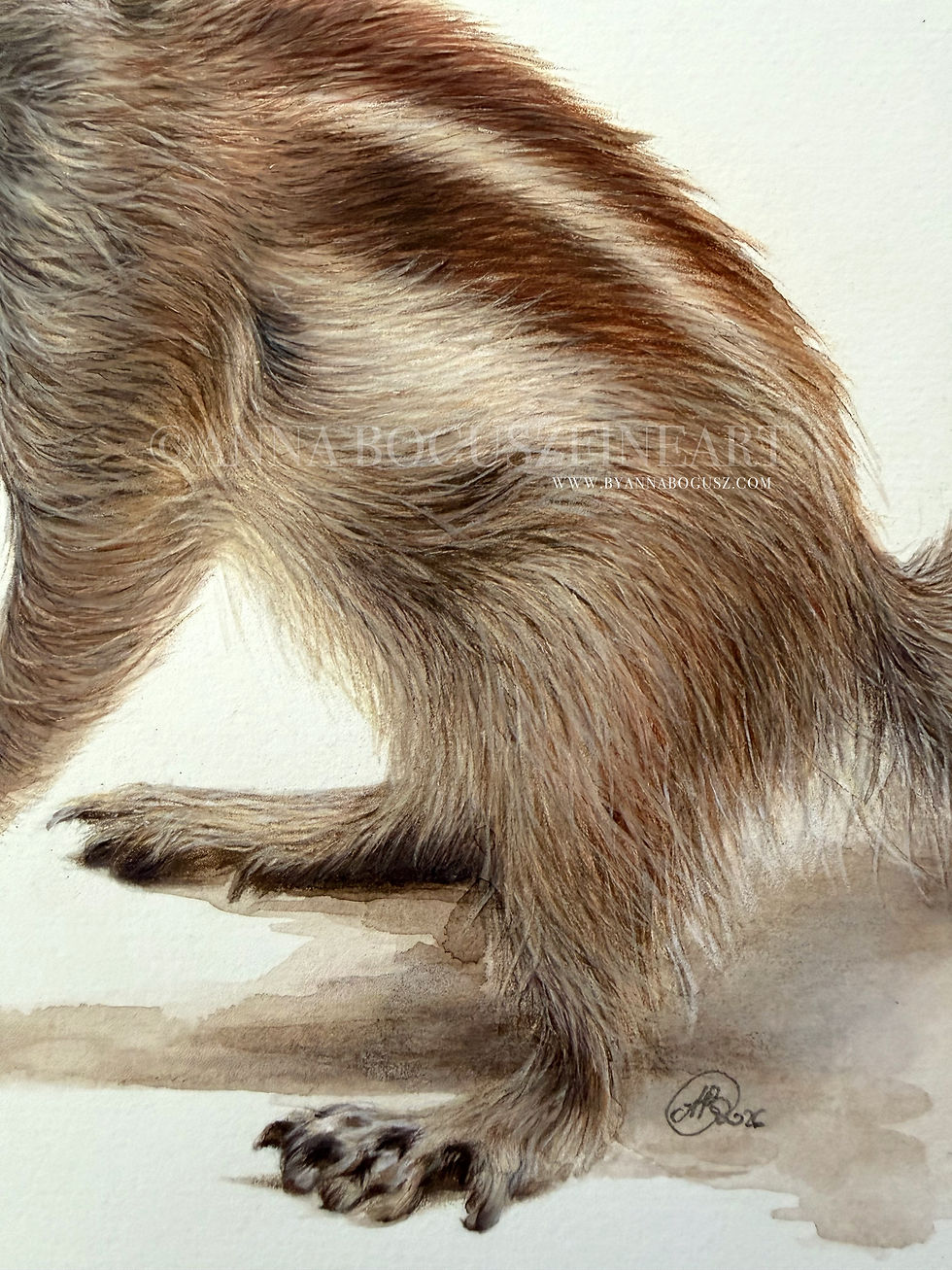 Thumbnail: 'The Little Explorer' by Anna Bogusz close-up