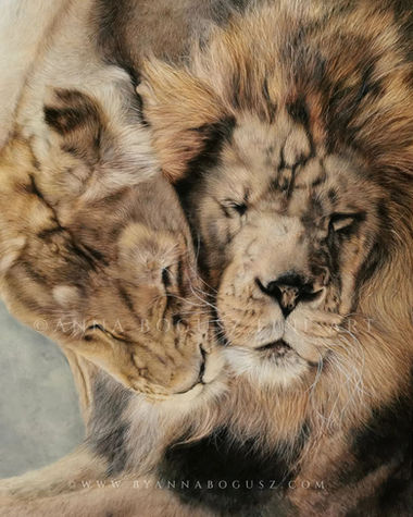 Lions couple in coloured pencil by Anna Bogusz.