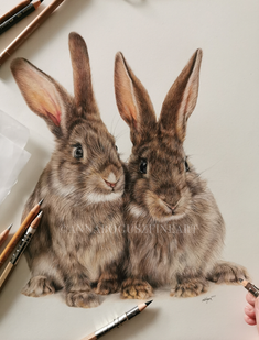 Two rabbits in coloured pencil by Anna Bogusz