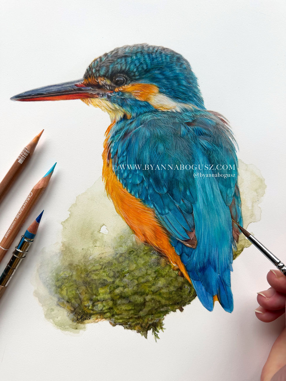 Miniaturbild: Kingfisher on a tree branch in coloured pencil and watercolour by Anna Bogusz