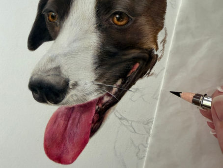 A portrait of a dog in progress 