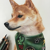 shiba inu in a bandana in coloured pencil