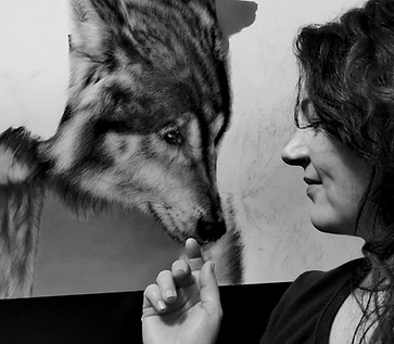Anna Bogusz Artist and her Wolf study in progress