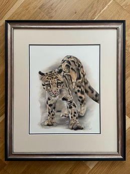 A foggy panther drawing in a frame.