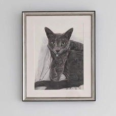 A Russian cat portrait in coloured pencil in a frame.
