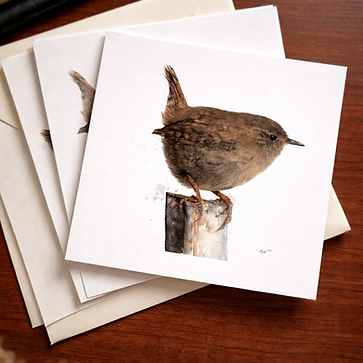 A postcard with a wren study by Anna Bogusz