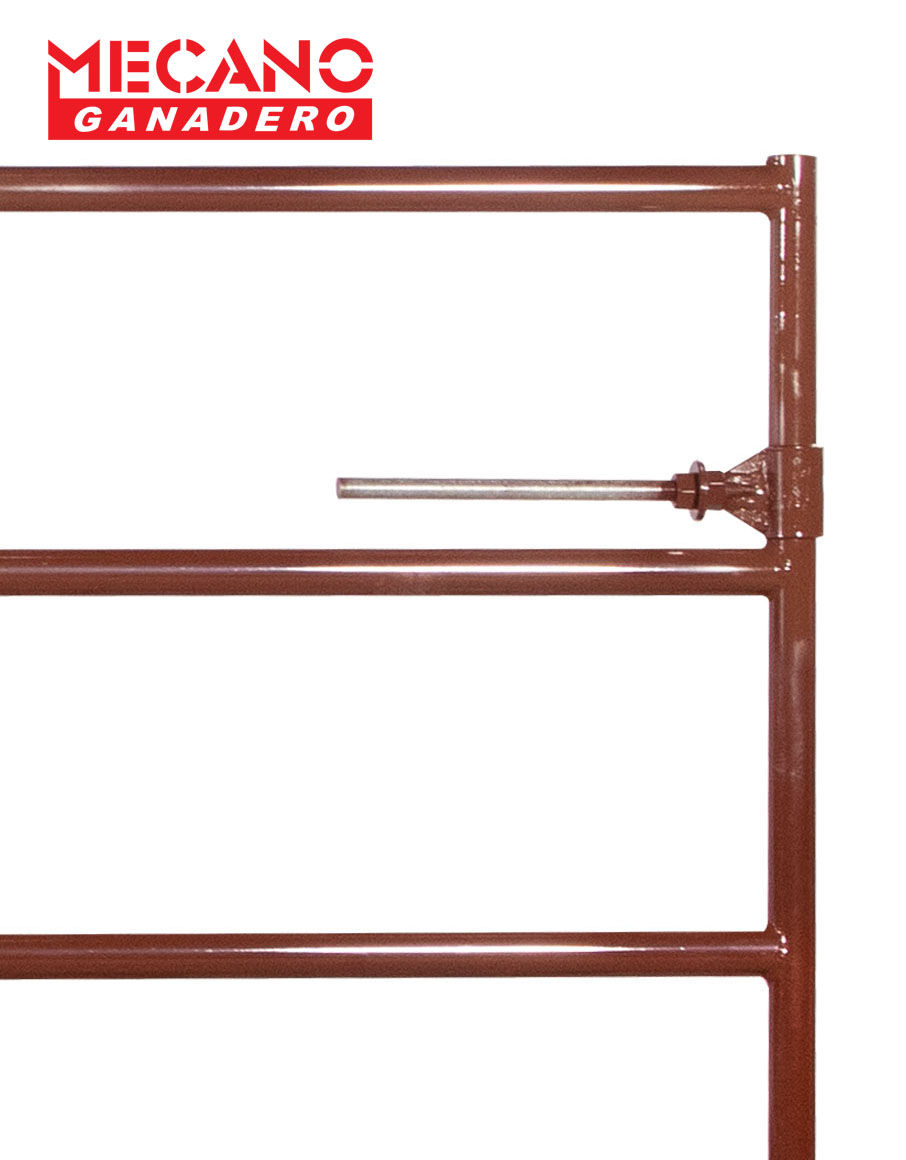 Miniatura: Portera Standard