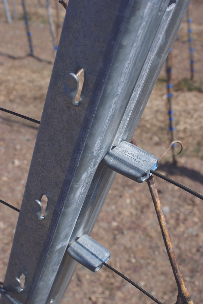 Miniatura: Número 1 Gripple