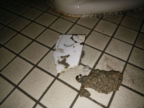 小便器 排水つまり修理 - 宮津市