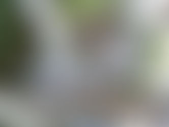 会所マスの排水つまりと不具合解消（宮津市）