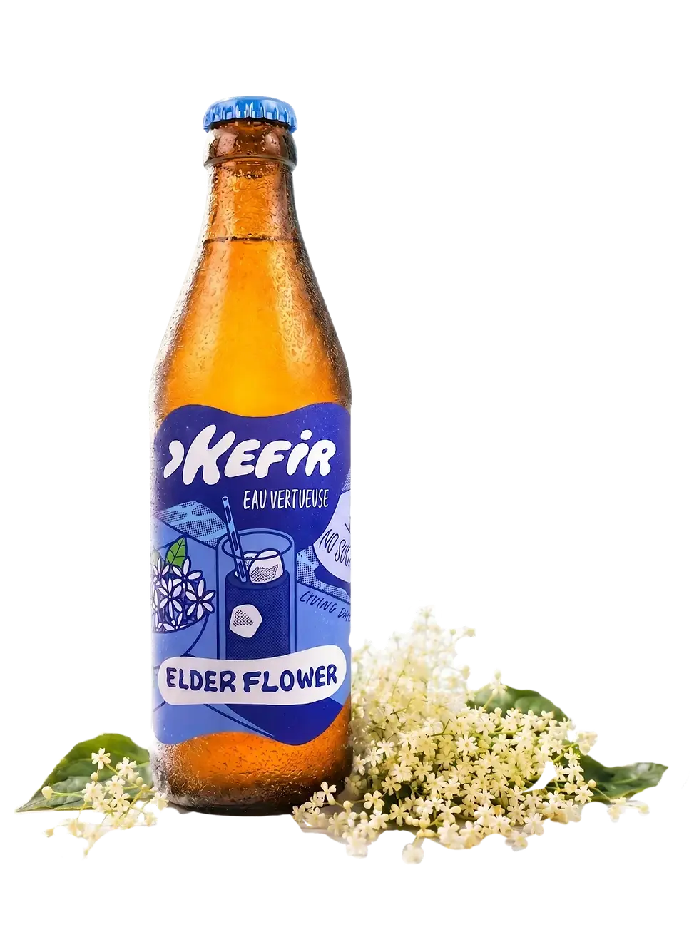 Bouteille de kéfir fleur de sureau à l'étiquette bleue, posée près de fleurs de sureau