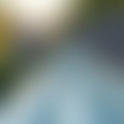 Essential Guide to Regular Gutter Maintenance and Cleaning in El Dorado Hills