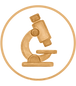 Mikroskop Symbol