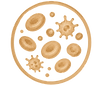 Blutuntersuchung