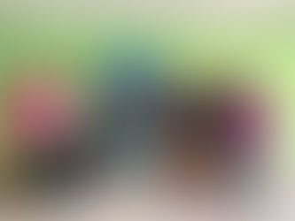 Validação participativa fortalece a conservação marinha na ilha do Fogo