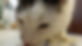 4.jpeg