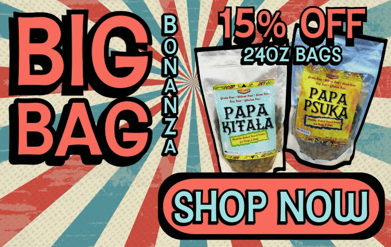 Adobe Express - Big Bag Bonanza Button.gif