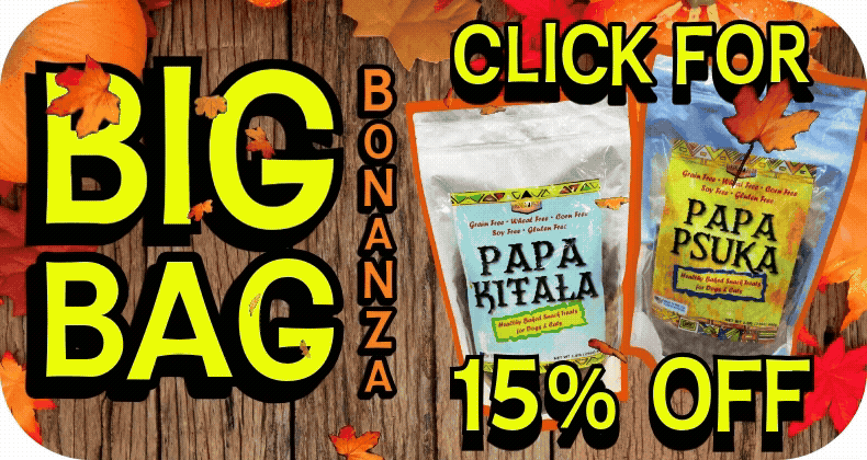 Adobe Express - Big Bag Bonanza Fall 2025 Header.gif