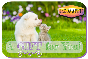 Link to shop Koda Pet eGift Card - Spring theme with a puppy and kitten nuzzling in the green grass