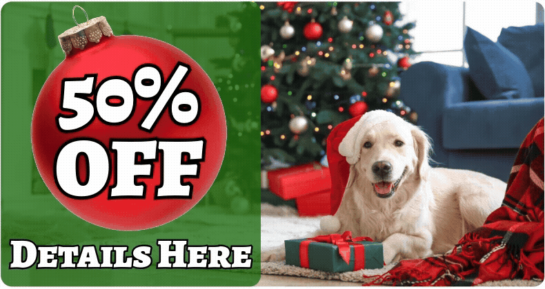Christmas Offer 2024 Header Button.gif