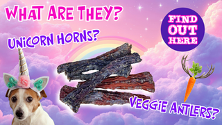 Koda Pet Foods | Grain-Free Dog Treats Made in the USA