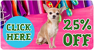Cinco de Mayo Header.png