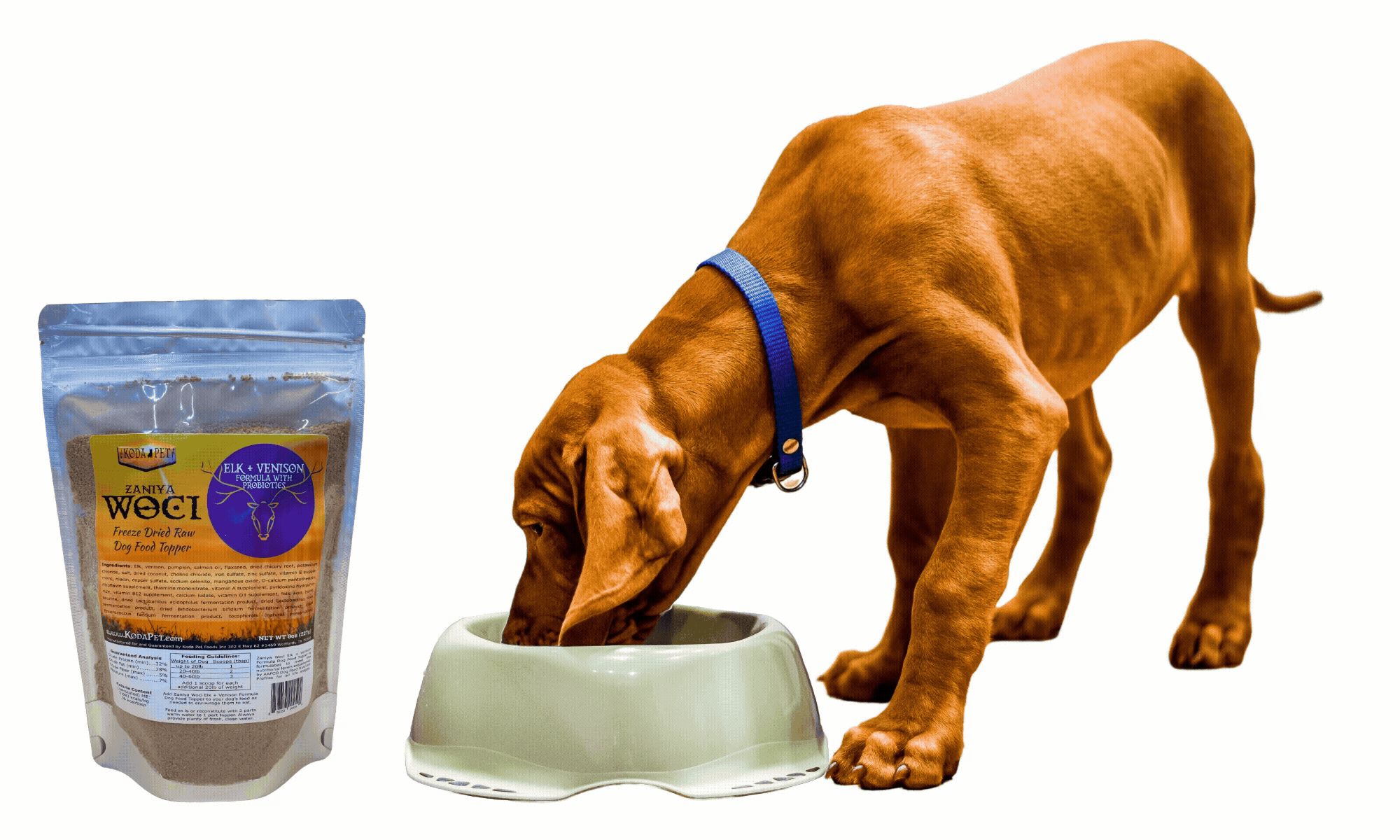 Dog eating food with Zaniya Woci Dog Food Toppers dancing next to the bowl
