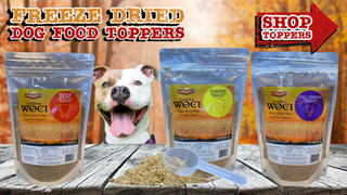 Koda Pet Foods | Grain Free Dog Treats