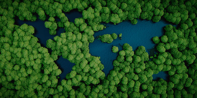 Aerial View Forest_edited.jpg