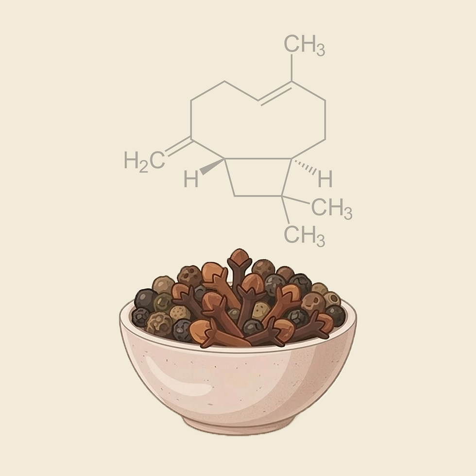 Beta Caryophyllene