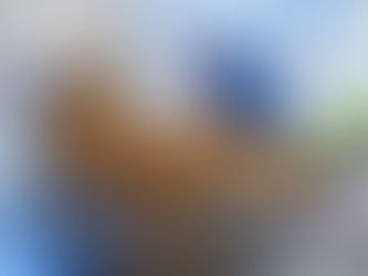 Students are encouraged to get updated COVID-19 and flu vaccines