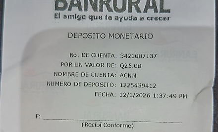 Ejemplo Boleta.jpg
