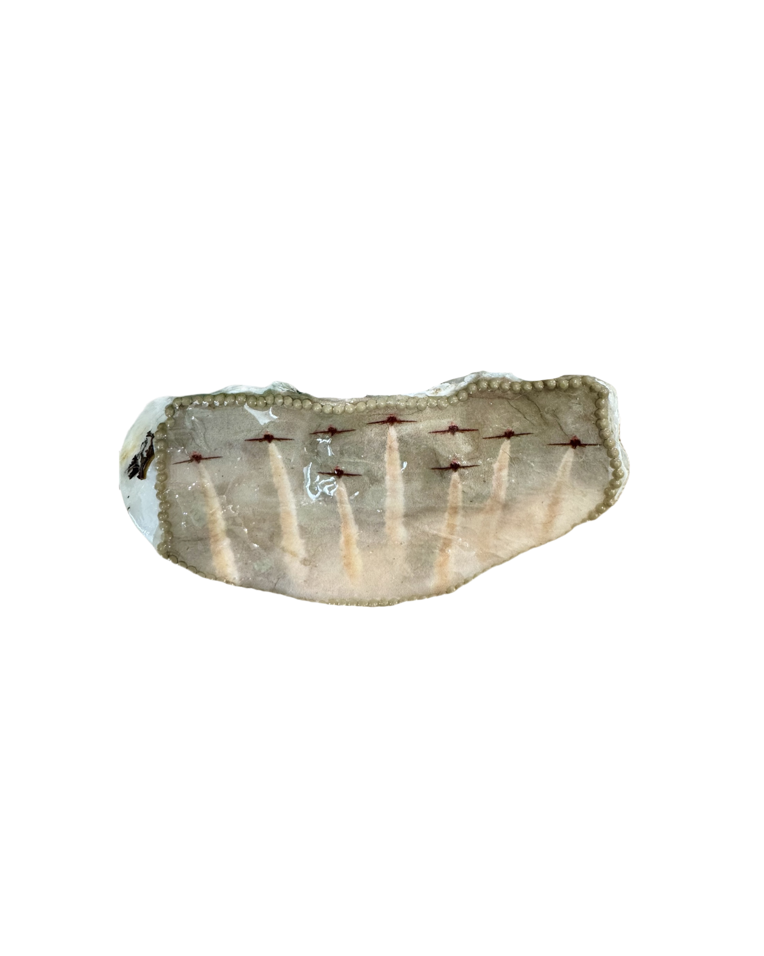 Flight Oyster Shell