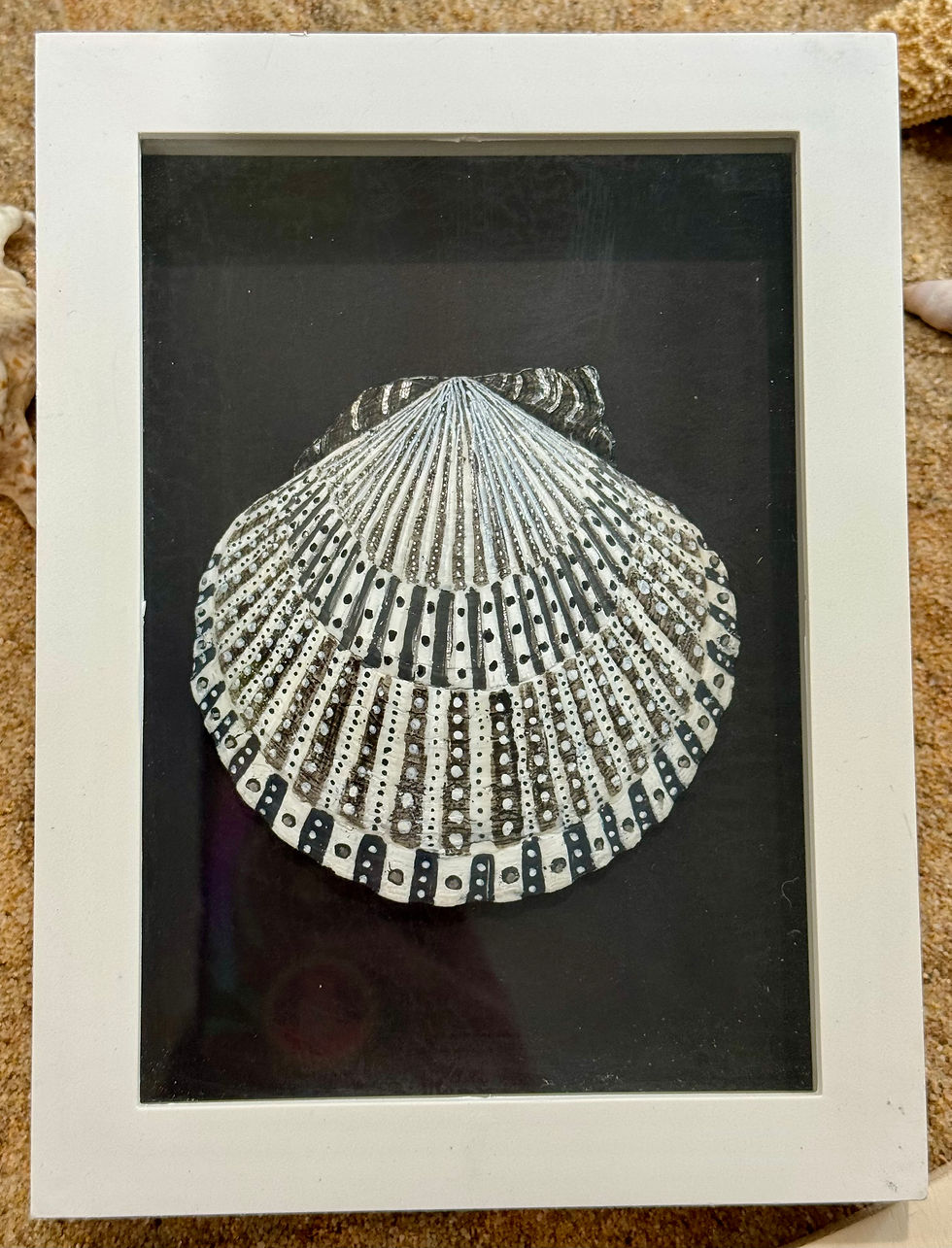 Thumbnail: Black & White Framed Shell Art