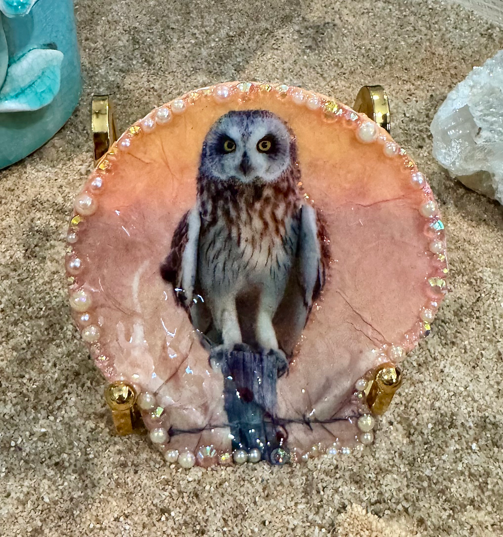 Thumbnail: Mr Owl Scallop Shell Trinket Dish