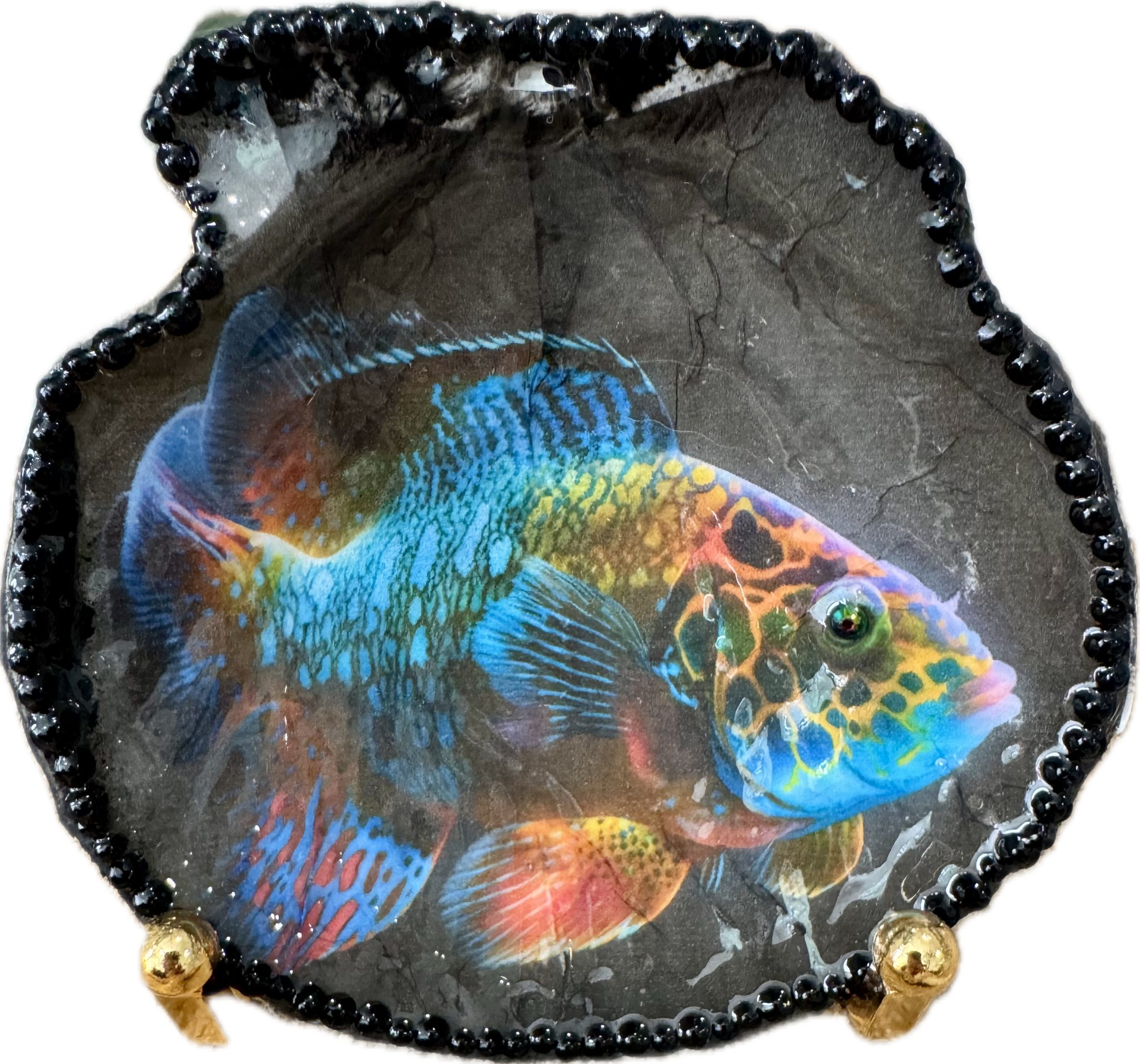 Rainbow Fish 2 Scallop Shell Trinket Dish