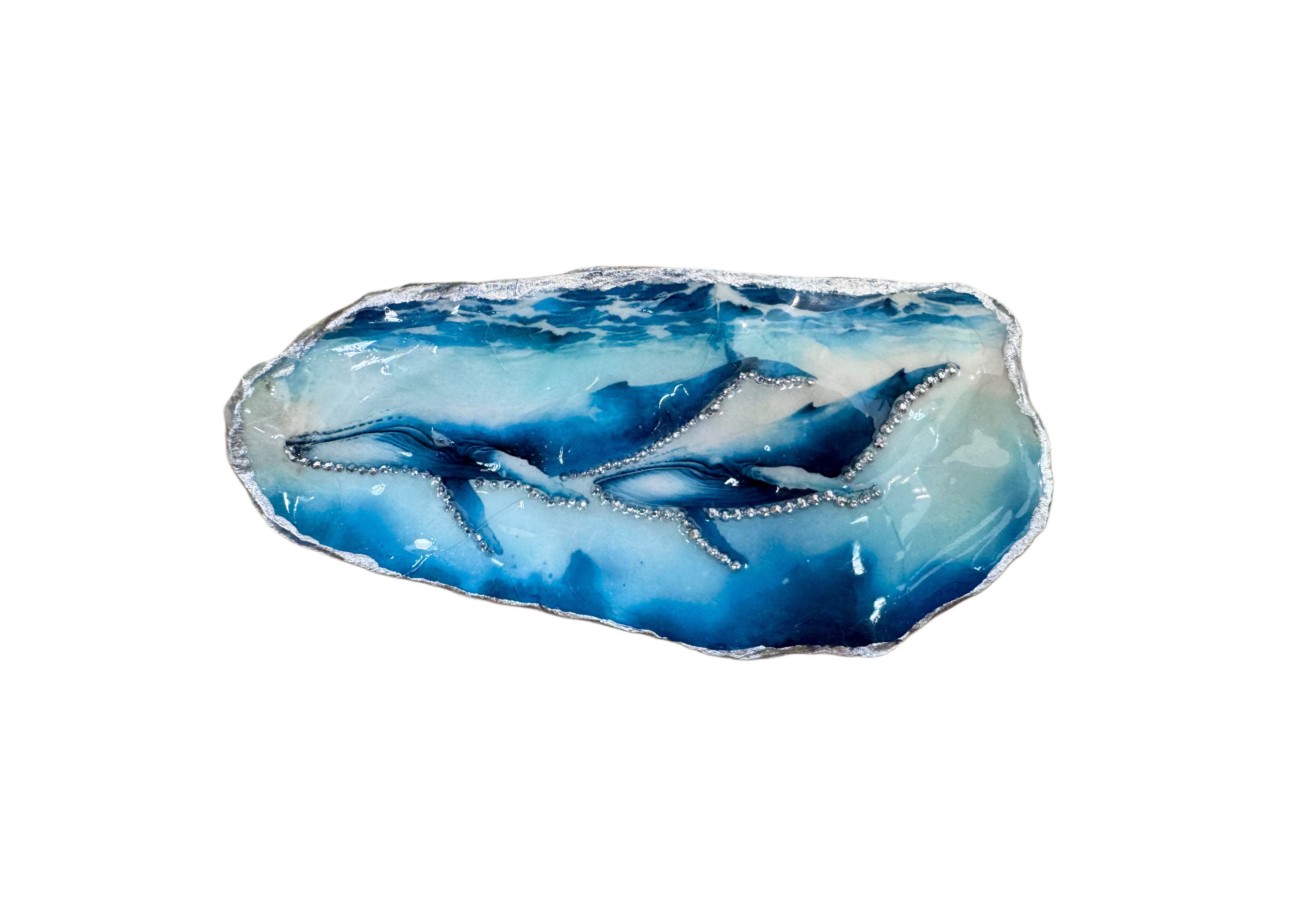Whales Oyster Shell