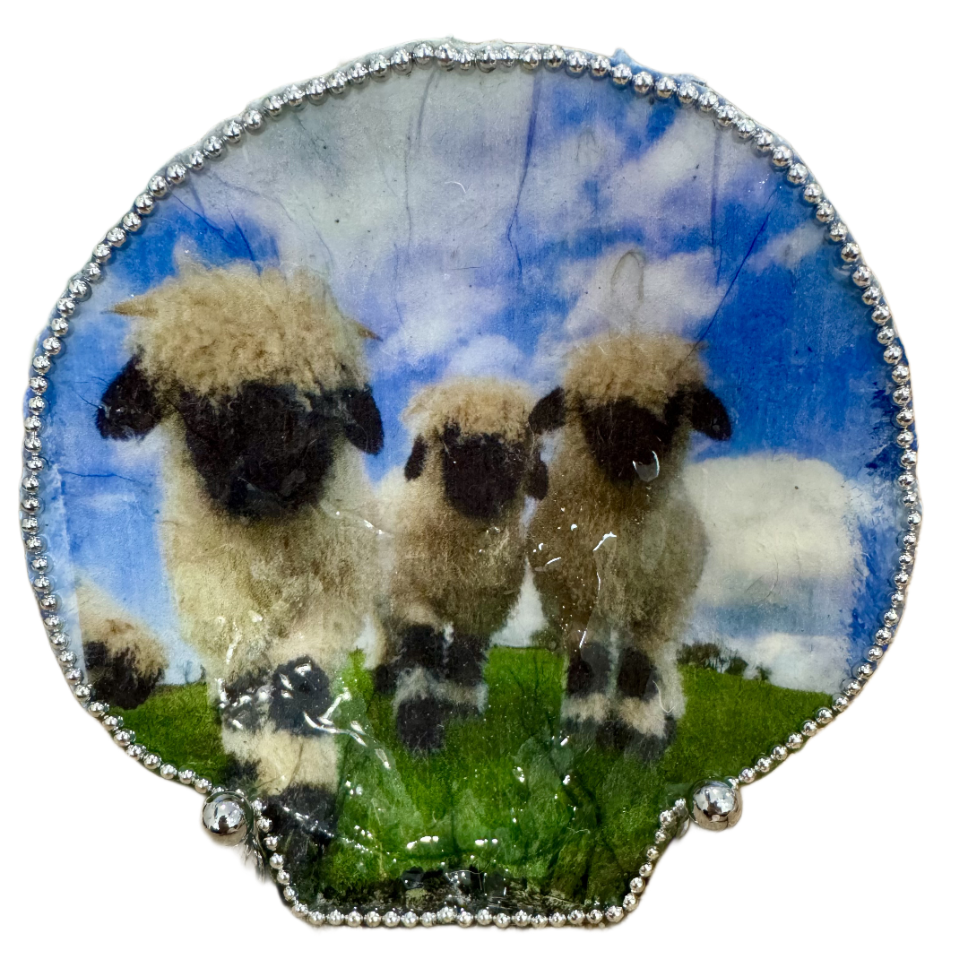 Three Sheep Scallop Shell Trinket Dish