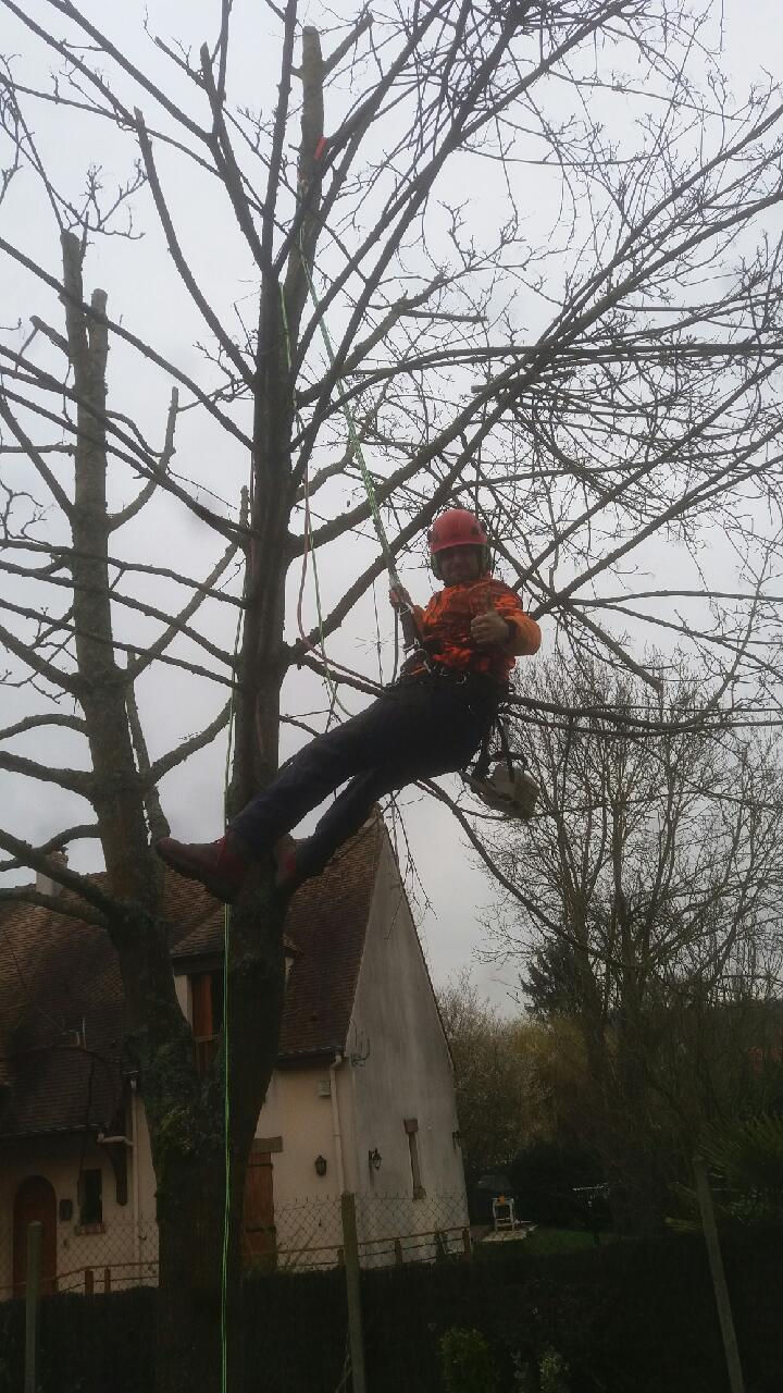 Aurélien :)